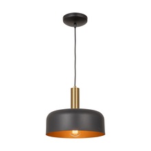 Artcraft AC7421BB - Orsa Collection 1-Light Pendant Black and Brushed Brass