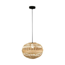 Eglo 49771A - 1L Pendant Light