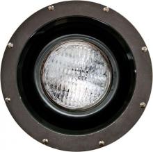 Dabmar FG4300 - FIBERGLASS WELL LIGHT PAR38 120V