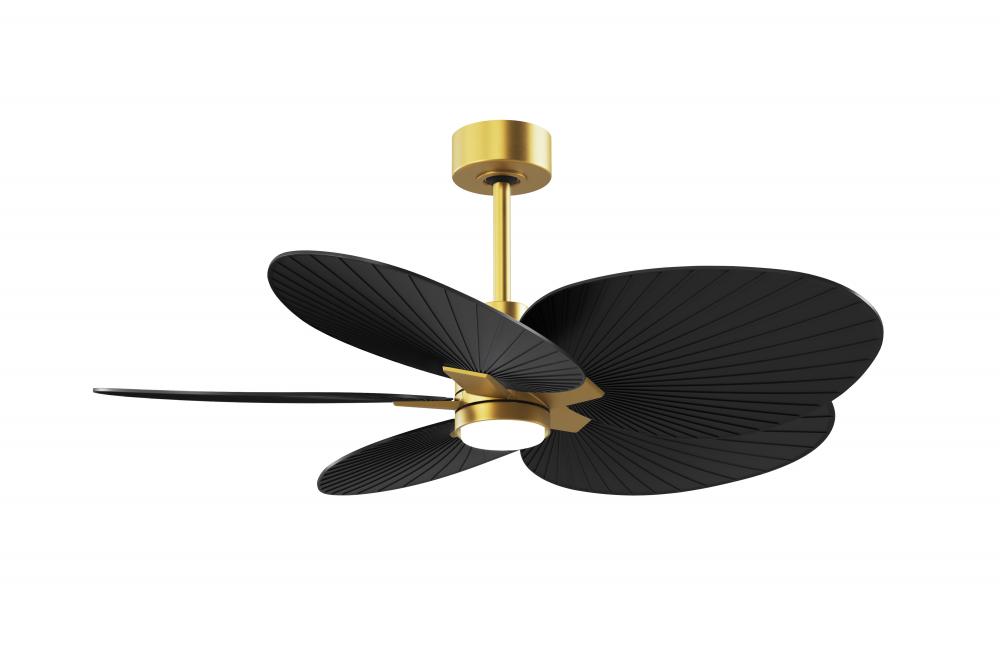 Alessandra Tropical 5-blade ceiling fan in Brushed Brass and Matte Black blades.