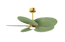 Matthews Fan Company AKTPLK-BRBR-PL - Alessandra Tropical-Five Blade Ceiling Fan-5CCT Integrated LED-Brushed Brass Finish