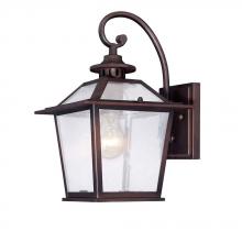 Acclaim Lighting 9702ABZ - Salem Collection Wall-Mount 1-Light Outdoor Architectural Bronze Light Fixture