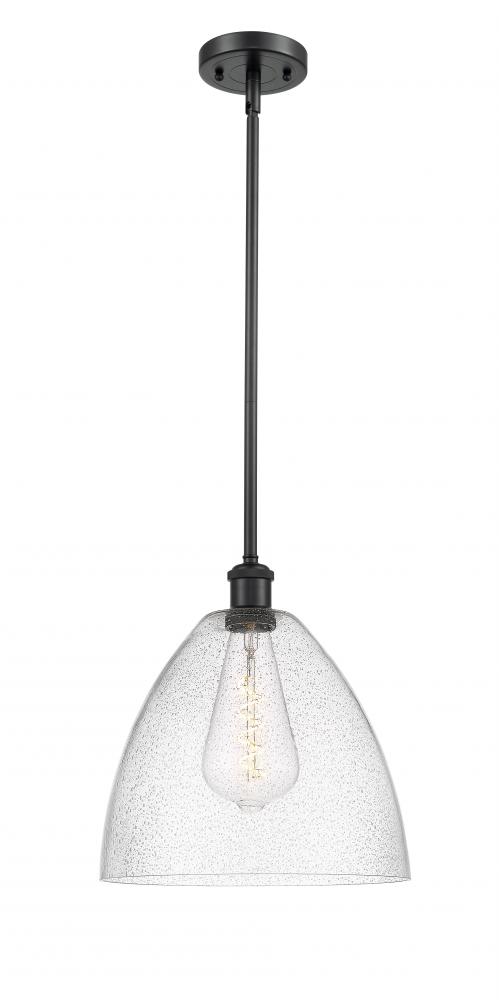 Bristol - 1 Light - 12 inch - Matte Black - Mini Pendant