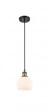 Innovations Lighting 516-1P-BAB-G121-6 - Athens - 1 Light - 6 inch - Black Antique Brass - Cord hung - Mini Pendant