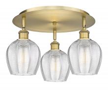 Innovations Lighting 516-3C-BB-G462-6 - Norfolk - 3 Light - 18 inch - Brushed Brass - Flush Mount