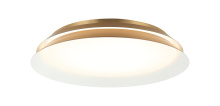 Matteo Lighting M19118AG - DAHLIA Wall Sconce
