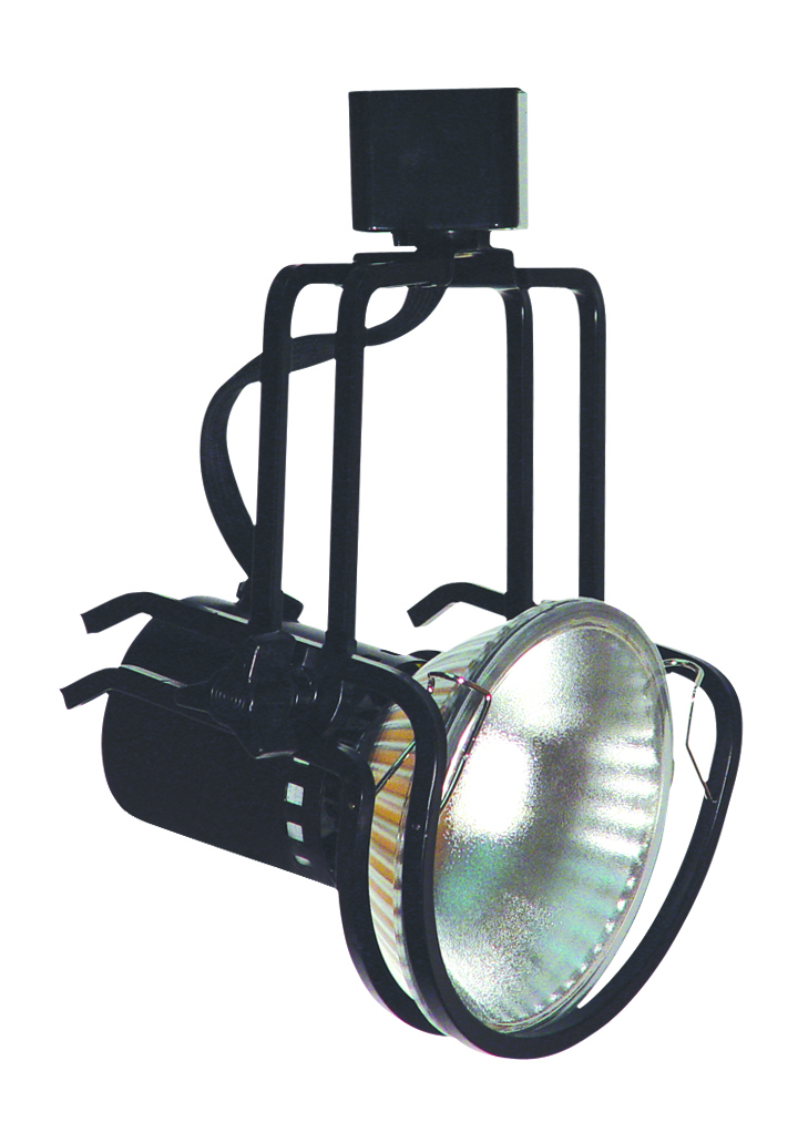 Line Voltage Fixture (Par38, 150W)