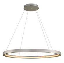 Corbett 285-44 - JASMINE 1LT PENDANT