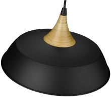 Millennium 4511-MB - Pendant light