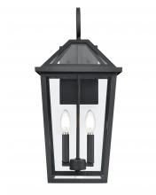 Millennium 91422-TBK - Outdoor Wall Sconce