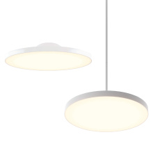 Dals TLPF21-CC-UNV-WH - 21in trimless 2in1 with stems, 5CCT, 120-347v, 0-10v/Triac - White