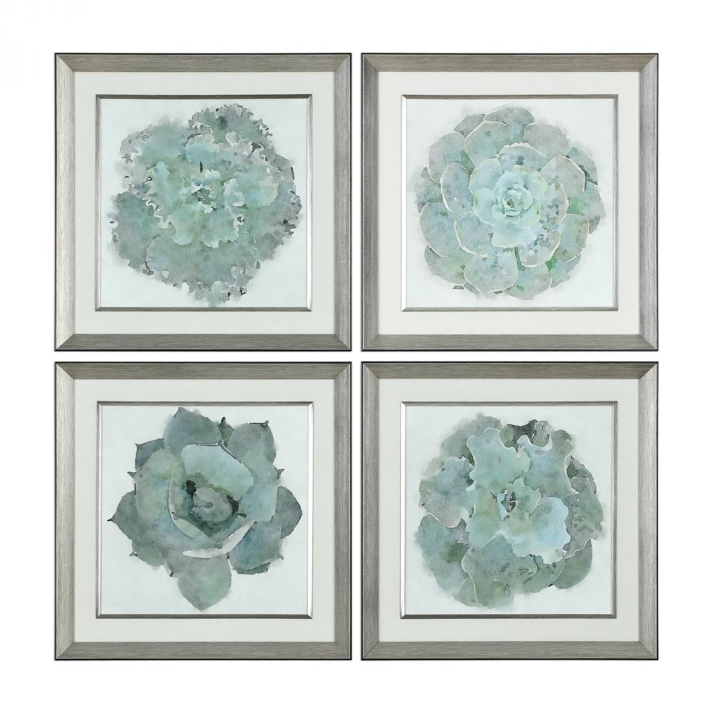 Uttermost Natural Beauties Botanical Prints S/4