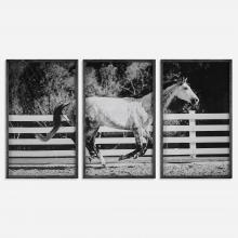 Uttermost 32279 - Galloping Forward Equine Prints, Set/3